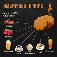 Сироп для кофе и коктейлей Davinci Gourmet Имбирный Пряник 1 л