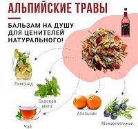 Сироп для кофе и коктейлей Davinci Gourmet Альпийские травы 1 л