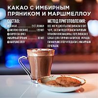 Сироп для кофе и коктейлей Davinci Gourmet Имбирный Пряник 1 л