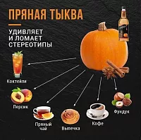Сироп для кофе и коктейлей Davinci Gourmet Пряная тыква 1 л