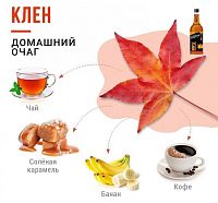 Сироп для кофе и коктейлей Davinci Gourmet Кленовый 1 л