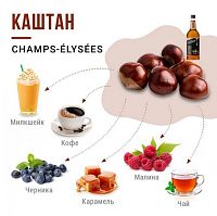 Сироп для кофе и коктейлей Davinci Gourmet Каштан 1 л