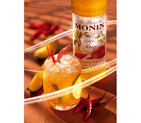 Сироп для кофе и коктейлей Monin Пряный 0,7 л